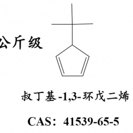 叔丁基-1,3-环戊二烯  41539-65-5